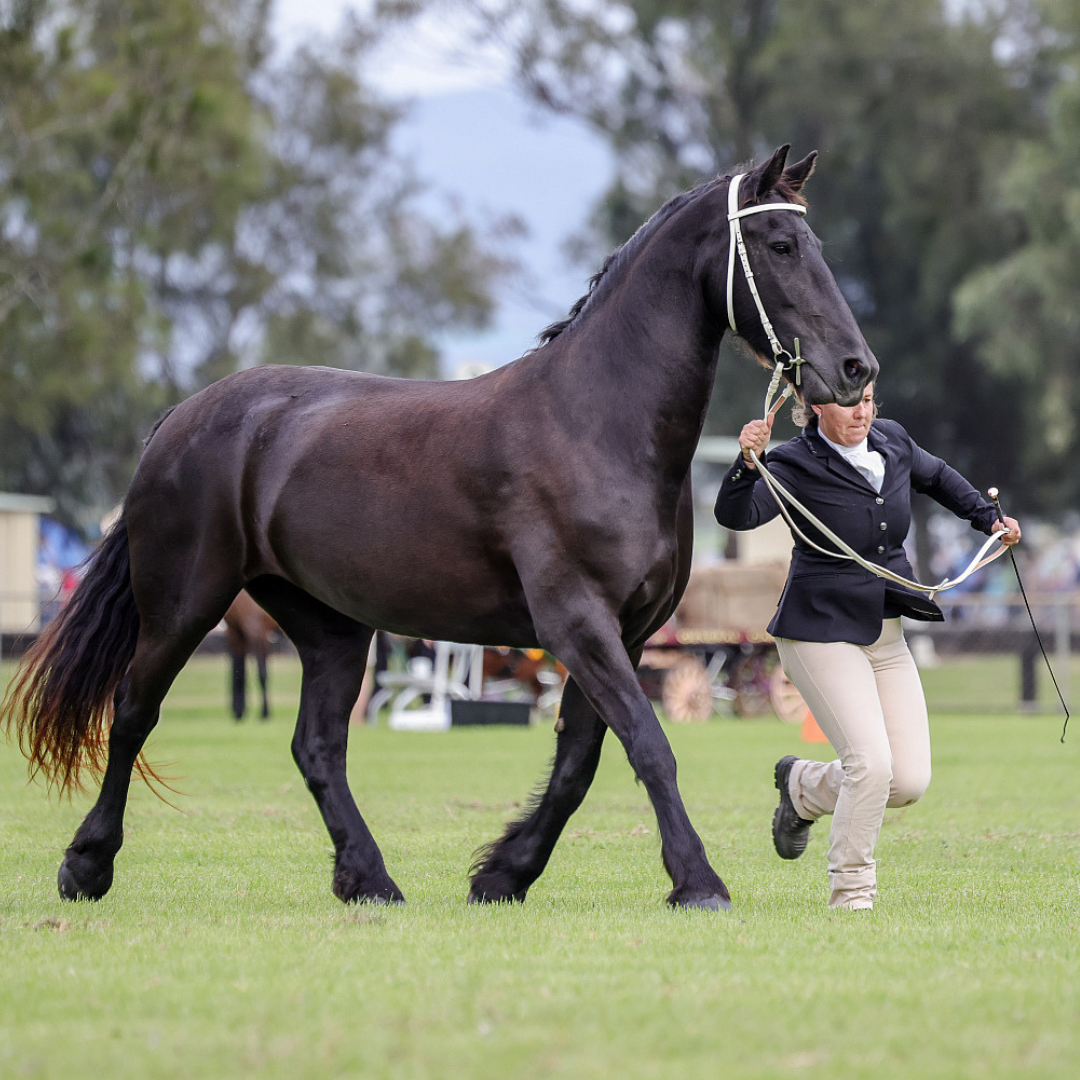 Nynke at Hawkesbury Show 2024